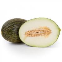 БРАВУРА F1 дыня Райк Цваан, PR, 1000 шт