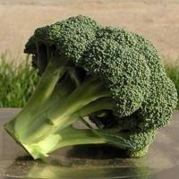 АЙРОНМЕН F1 брокколи Семинис