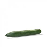 ДЕМАРРАЖ F1 огурец Райк Цваан