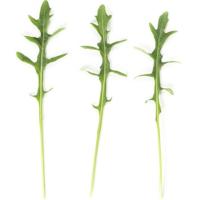 СИНОП F1 руккола Райк Цваан, PR, 1 млн.шт