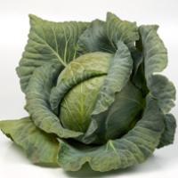 СВ 3336 ЖБ F1 капуста белокочанная Семинис