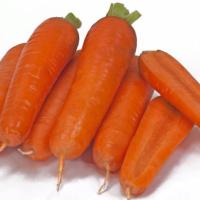 ТАНГЕРИНА F1 морковь Энза Заден (2.6-2.8)