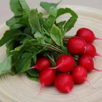 РЕМБО F1 редис Гавриш (100 г)