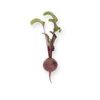 МОНТИ F1 свекла Райк Цваан, кал.3, 5-4, 25, 25 тыс.шт