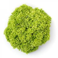 ЛИМЕЙРА F1 салат Райк Цваан, 5 тыс.драже