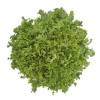 БЕРЛИНАЛ F1 эндивий Райк Цваан, 1 тыс.драже