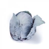 РЕДМА F1 капуста краснокочанная Райк Цваан, NS, 2500 шт