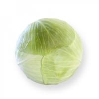 АНКОМА P3 F1 капуста белокочанная Райк Цваан, GD, 2500 шт