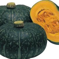 ДЕЛИКА F1 тыква Энза Заден