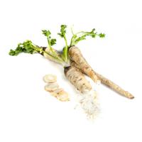 ПЕТРОВНА F1 петрушка Гавриш (100 г)