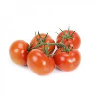 ТРОВАНЗО F1 томат Райк Цваан
