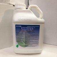 Камикадзе, КЭ