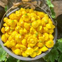 САННИ ДЕЛАЙТ F1 патиссон Семинис, 5 000 шт