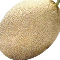 АМАЛ F1 дыня Вильморин