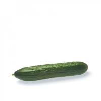 МЕДИА F1 огурец Райк Цваан