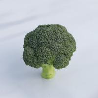 БЕСТИ F1 брокколи Сингента