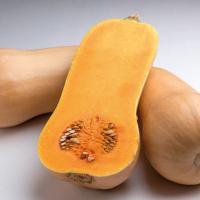 ХАВАНА F1 тыква Энза Заден