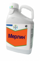 Мерлин, ВДГ