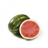 БРЕТОНА F1 арбуз Райк Цваан, PR, 100 шт