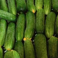 МАША F1 огурец Семинис, 250 шт