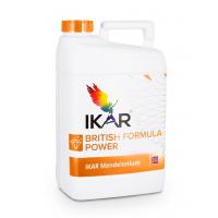 Энзо Менделениум, 5 л