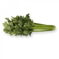 АРТУР F1 сельдерей Райк Цваан, NS, 5 тыс.шт