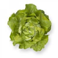 САНТОРО F1 салат Райк Цваан