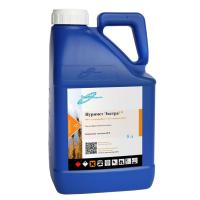 Нуримет Экстра, КЭ