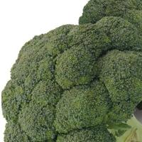 СЕРФИНГ F1 брокколи Гавриш