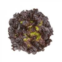 САТУДАЙ F1 салат Райк Цваан, 5 тыс.драже