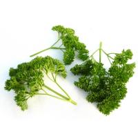 АЖУР F1 петрушка Гавриш (100 г)