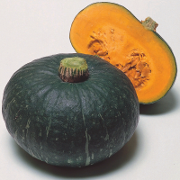 СВИТ МАМА F1 тыква Энза Заден