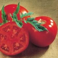 САНРАЙЗ F1 томат Семинис