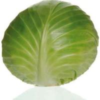 МОНРО F1 капуста белокочанная Саката