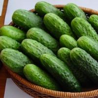 МОНИСИЯ F1 огурец Семинис, 250 шт