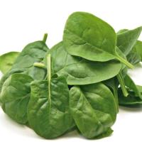 ГУДВИН F1 шпинат Гавриш (100 г)