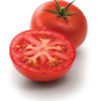 БОБКАТ F1 томат Сингента