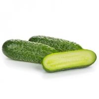 БРИДЖ F1 огурец Райк Цваан, PR, 250 шт