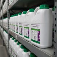 Цидели Топ, ДК