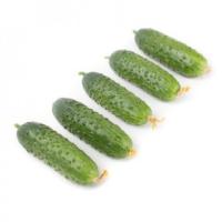 ТРИОЛЕ F1 огурец Райк Цваан, PR, 250 шт