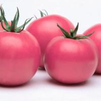 ФЕНДА F1 томат Вильморин (250 шт)