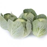 ФЛЕКСИМА F1 капуста белокочанная Райк Цваан, PR, 1000 шт