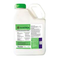 Галактион, КЭ