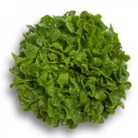 ГУМБОЛЬД F1 салат Райк Цваан, 5 тыс.драже