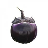 САБЕЛЛЕ F1 баклажан Райк Цваан, PR, 100 шт