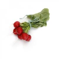 БОДИАМ F1 редис Райк Цваан, кал.2, 75-3, 0, 25 тыс.шт