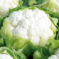 КОНЦЕПТ F1 капуста цветная Энза Заден