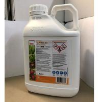 Сайрен, КЭ (Синузан, КЭ)