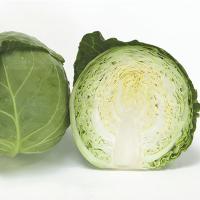 ОРТУС F1 капуста белокочанная Энза Заден