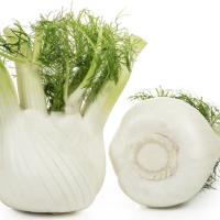 ПРЕЛЮДИО F1 фенхель Энза Заден, 5 тыс.драже